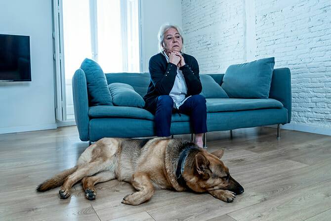 Heilpraktiker für tiergestützte Psychotherapie 14 Heilpraktiker für tiergestützte Psychotherapie Ausbildung - depressive Frau und Schäferhund im Wohnzimmer