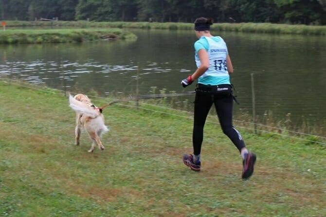 Aufbau & Struktur Sportwissenschaften Hund 4 Sportwissenschaften Hund Ausbildung - Athletin mit Hund im Wettkampf laufend