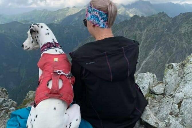 Inhalt & Ablauf Sportwissenschaften Hund 8 Sportwissenschaften Hund Ausbildung - Frau und Dalmatiner auf dem Berg und genießen Panorama