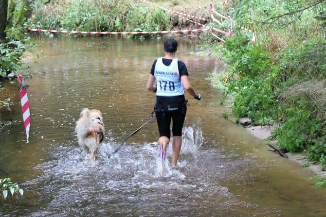 Inhalt & Ablauf Sportwissenschaften Hund 5 Sportwissenschaften Hund Ausbildung - Hund und Frau beim Laufwettkampf durchs Wasser