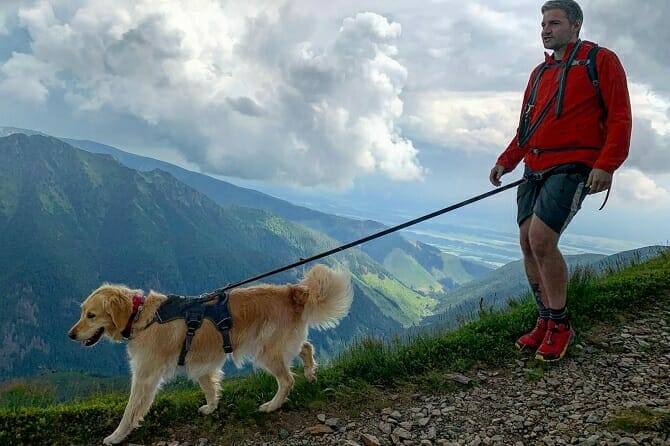 Sportwissenschaften Hund 6 sportwissenschaften hund ausbildung wanderer mit hund in den bergen