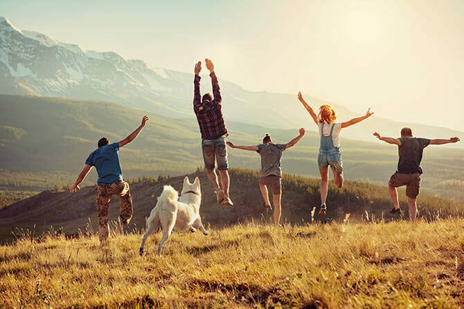 297584052 neu Hundetrainer Ausbildung Ablauf - Fünf Menschen und Hund im Gebirge springen vor Freude