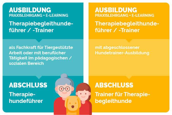 Therapiebegleithunde Trainer Ausbildung - Schaubild Ausbildung und Abschluss