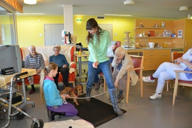 Tiergestützte Arbeit Ausbildung - Hund zu Besuch im Seniorenheim