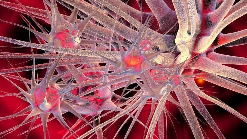 angstverhalten fuehrt zu einem ungleichgewicht von neurotransmittern