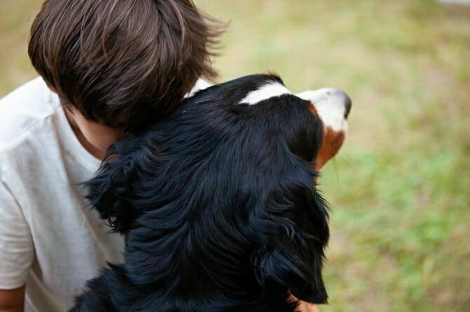 Assistenzhundetrainer Ausbildung - Kind kuschelt Kopf an Kopf mit Hund