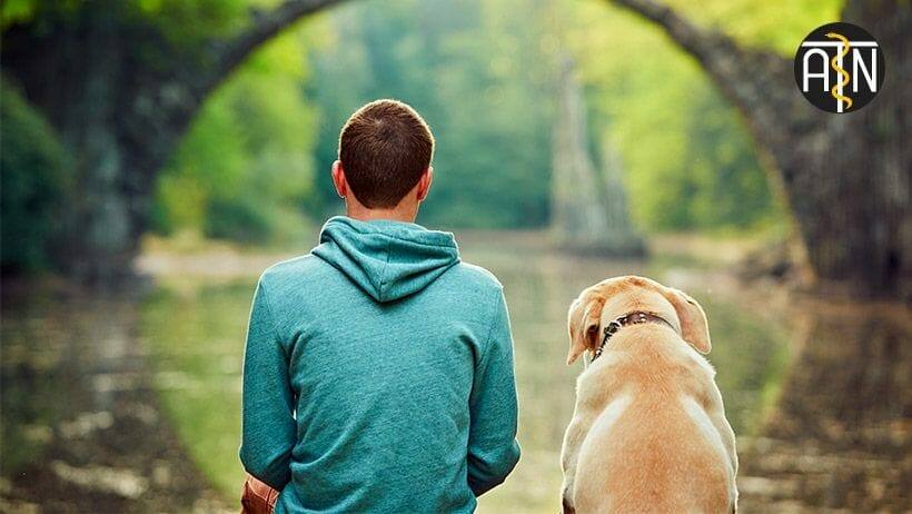 ausbildung zum heilpraktiker fuer psychotherapie der mensch hund beziehung