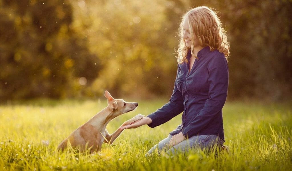 hundetrainerin maria ebeling