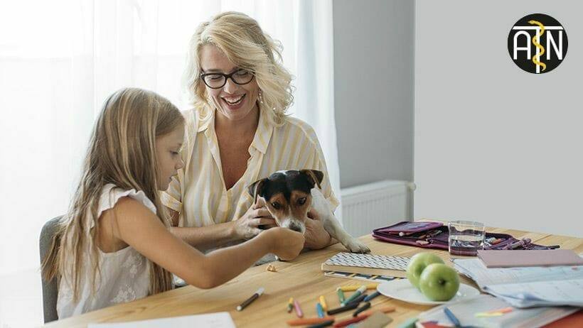 therapiebegleithunde trainer ausbildung die perfekte weiterbildung