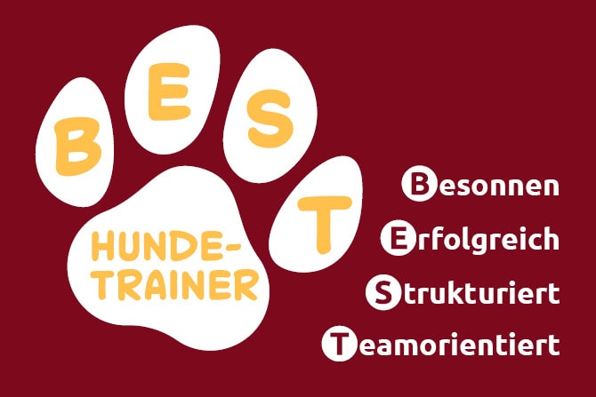 atn best hundetrainer Eine Hundeschule gründen mit dem BEST Hundetrainer Profi-Coaching