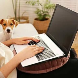hundetrainer-ausbildung-frau-lernt-am-laptop-mit-hund.jpg Frau lernt am Laptop für die Hundetrainer-Ausbildung und Hund leistet ihr dabei Gesellschaft