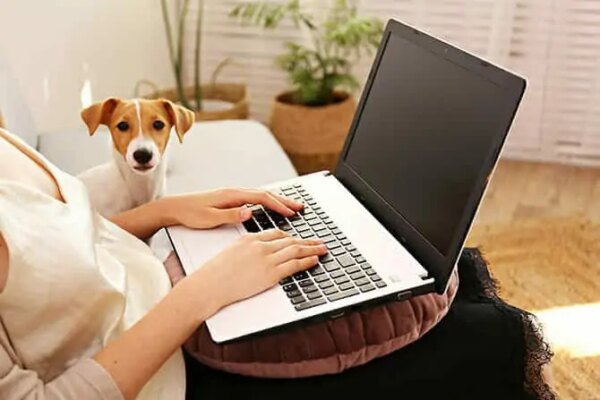 Frau lernt am Laptop für die Hundetrainer-Ausbildung und Hund leistet ihr dabei Gesellschaft