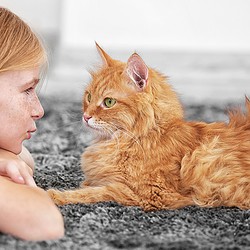 Katzenverhaltensberater Ausbildung ATN - rothaariges Kind und Katze schauen sich an Katzenverhaltensberater Ausbildung ATN - rothaariges Kind und Katze schauen sich an