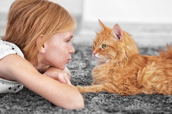 Katzenverhaltensberater Ausbildung ATN - rothaariges Kind und Katze schauen sich an