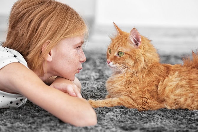 Katzenverhaltensberater Ausbildung ATN - rothaariges Kind und Katze schauen sich an Katzenverhaltensberater Ausbildung ATN - rothaariges Kind und Katze schauen sich an