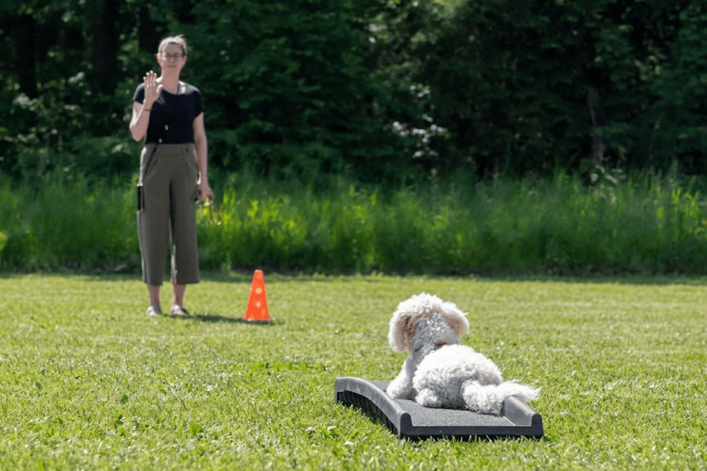 ATN Akademie Hundetrainer Ausbildung - Hundetrainerin mit kleinem, weißen Hund auf Targetmatte