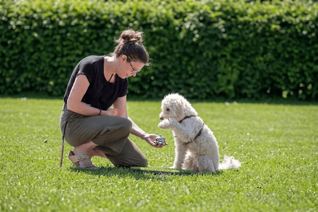 ATN Akademie Hundetrainer Ausbildung - Hundetrainerin mit kleinem weißem Hund und Klingel