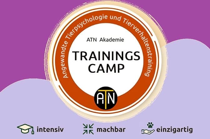 trainings camp hundterainer atn 2 1
