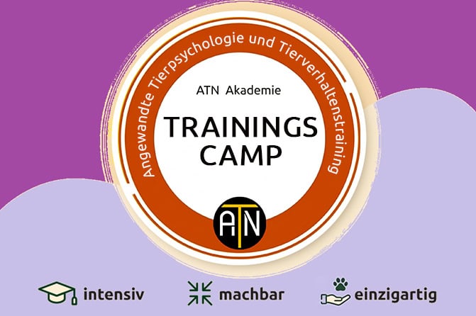 trainings camp hundterainer atn 2