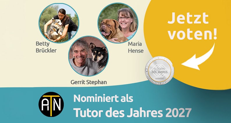 tutor des jahres nominierte atn