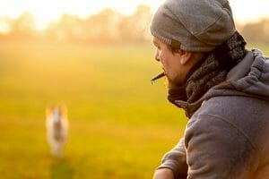 Hundetrainer Ausbildung - Hundetraining mit Hundepfeife