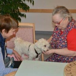 Tiergestützte Arbeit Ausbildung - zwei ältere Frauen streicheln kleinen Hund im Seniorenheim Tiergestützte Arbeit Ausbildung - zwei ältere Frauen streicheln kleinen Hund im Seniorenheim