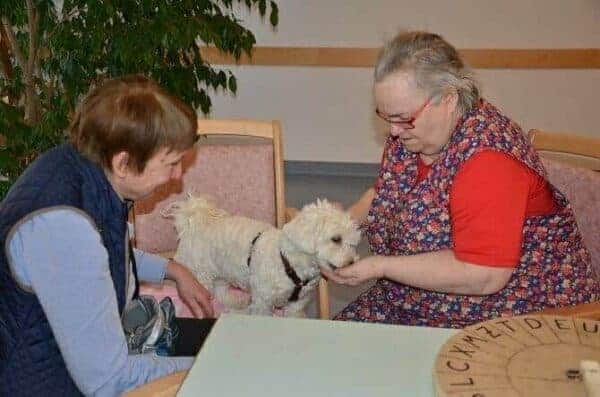 Tiergestützte Arbeit Ausbildung - zwei ältere Frauen streicheln kleinen Hund im Seniorenheim