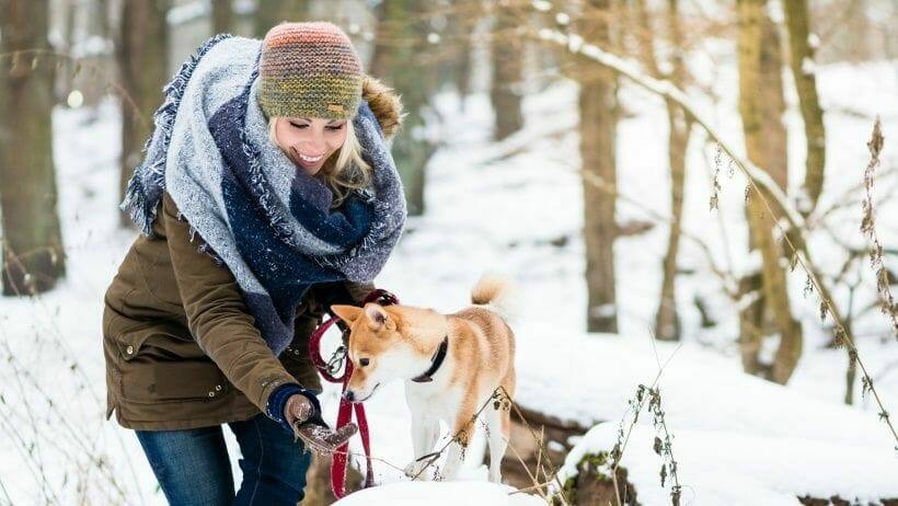 hunde spaziergang an silvester