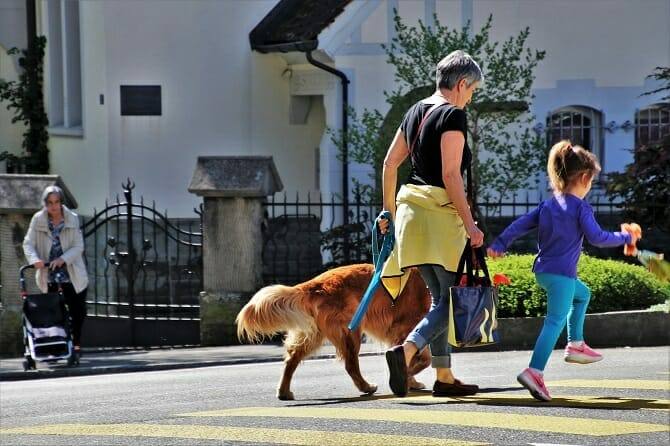 psychologischer coach mensch tier beziehung ausbildung mutter tochter und hund spazieren im wohngebiet