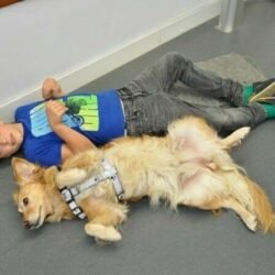 Tiergestützte Arbeit Ausbildung - Junge liegt mit Hund auf dem Rücken auf dem Boden und ahmt ihn nach Tiergestützte Arbeit Ausbildung - Junge liegt mit Hund auf dem Rücken auf dem Boden und ahmt ihn nach