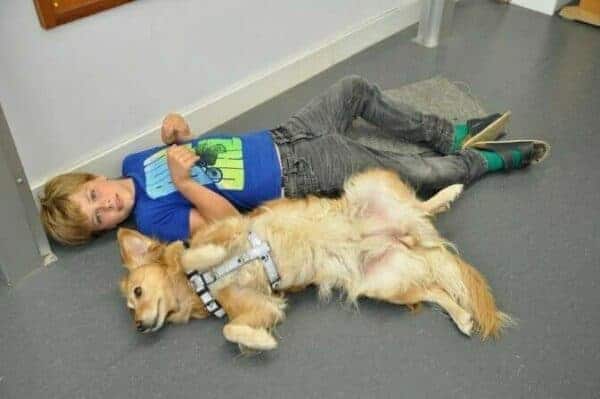 Tiergestützte Arbeit Ausbildung - Junge liegt mit Hund auf dem Rücken auf dem Boden und ahmt ihn nach