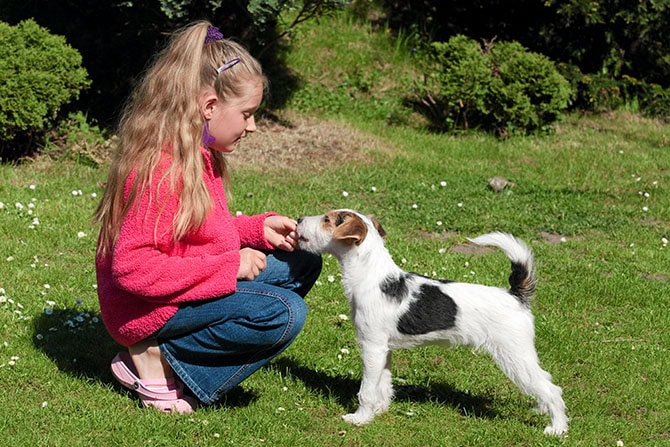 ATN Therapiebegleithundetrainer Ausbildung - Mädchen knie vor Hund (Terrier) und berührt ihn mit der Hand