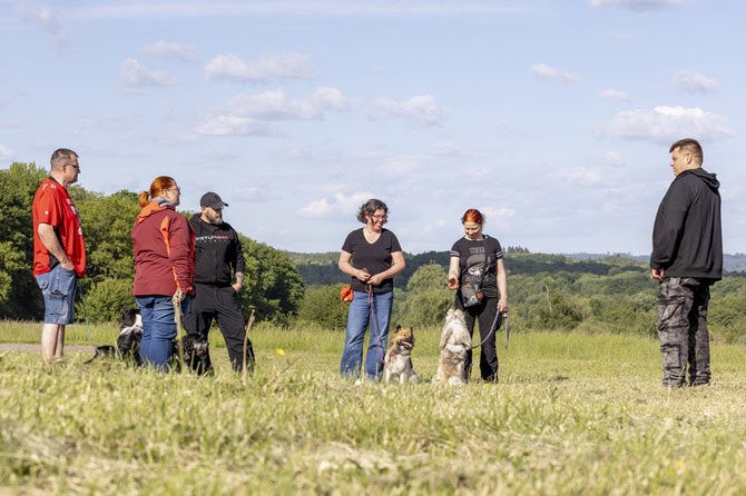 atn akademie hundetrainer ausbildung ab5 ATN Akademie Hundetrainer Ausbildung - Hundetrainer mit Trainingsgruppe auf Wiese im Kreis stehend