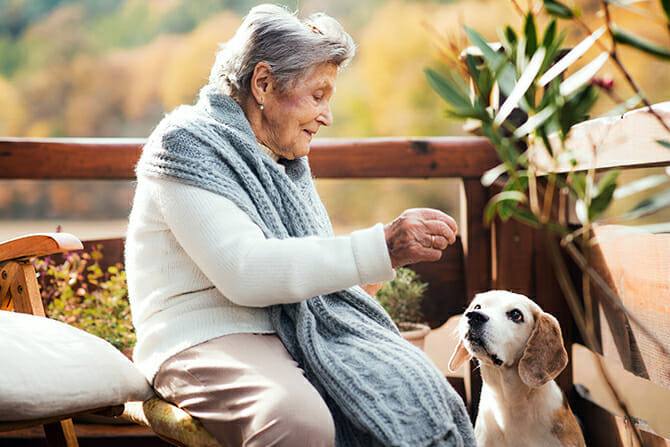 therapiebegleithunde trainer ausbildung aeltere frau sitzt an einem sonnigen herbsttag gemeinsam mit ihrem hund auf der terrasse