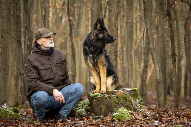 ATN Hundetrainer Ausbildung - Mann mit Schäferhund im Wald in eine gemeinsame Richtung schauend