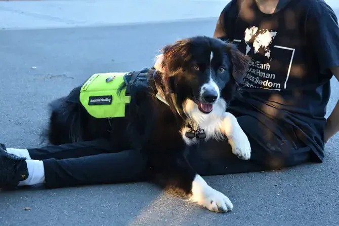 aht ausbildung atn 1017 hp