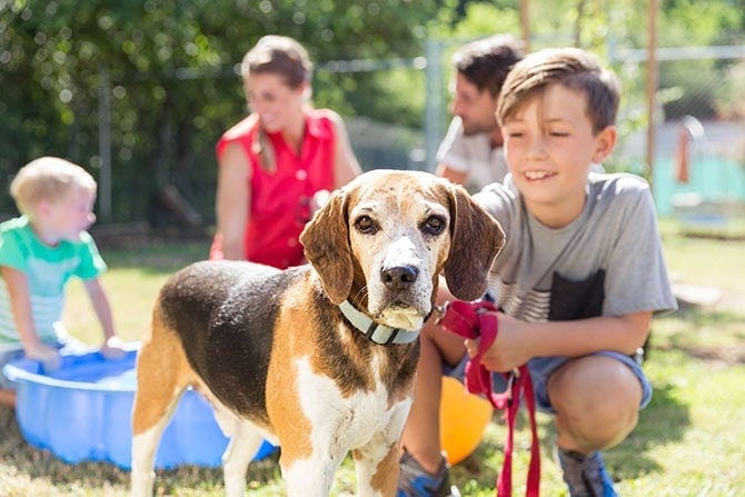 atn akademie adobestock 269027659 1