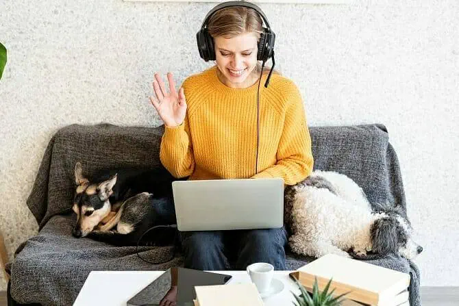 atn ihk zertifikat junge frau lernt am laptop auf couch mit zwei hunden und freut sich