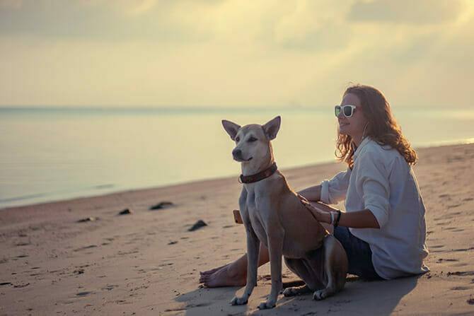 Tiererlebnis- & Eventtouristik 5 Tiererlebnis- & Eventtouristik Ausbildung - junge Frau sitzt mit ihrem Hund während des Sonnenuntergangs am Strand