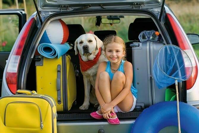 Tiererlebnis- & Eventtouristik 6 Tiererlebnis- & Eventtouristik Ausbildung - junges Mädchen und ihr Hund sitzen mit Koffern im Auto für die Sommerferien