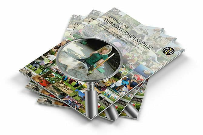 atn akademie atn broschuere ATN Akademie - ATN Broschüre