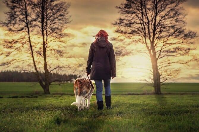 Psychologischer Coach Mensch Tier Beziehung Ausbildung - Herbstspaziergang Frau mit Hund