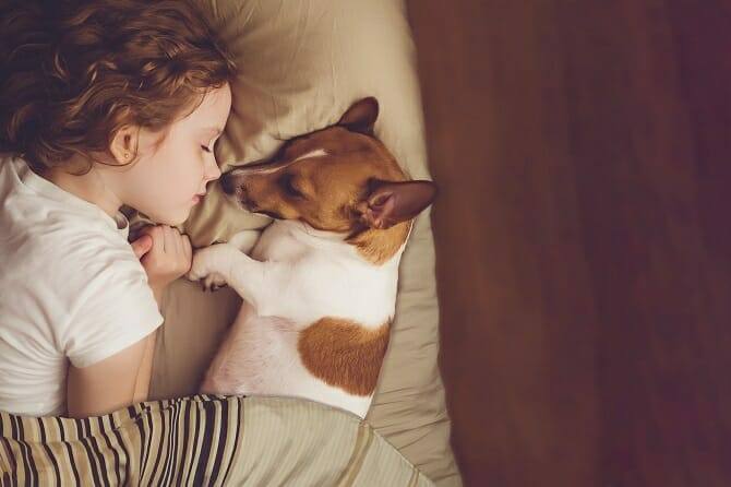 Psychologischer Coach Mensch Tier Beziehung Ausbildung - Kind und ihr Jack Russel schlafen