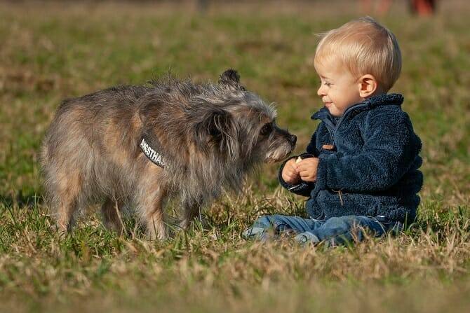 Psychologischer Coach Mensch Tier Beziehung Ausbildung - Kleinkind mit Hund auf Wiese