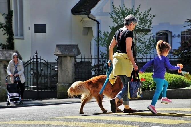 Psychologischer Coach Mensch Tier Beziehung Ausbildung - Mutter Tochter und Hund spazieren im Wohngebiet