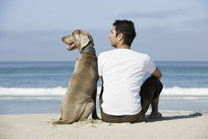 Psychologischer Coach Mensch Tier Beziehung Ausbildung -Rückenansicht Mann und Hund sitzen am Strand