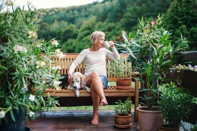 Psychologischer Coach Mensch Tier Beziehung Ausbildung - Seniorin mit Hund genießt Kaffee auf einer Bank in der Natur