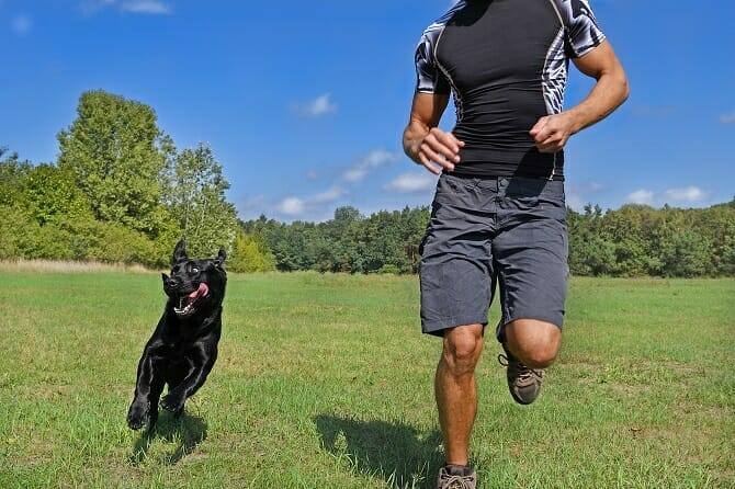 sportwissenschaften hund ausbildung mann joggt mit hund im park Sportwissenschaften Hund Ausbildung - Mann joggt mit Hund im Park