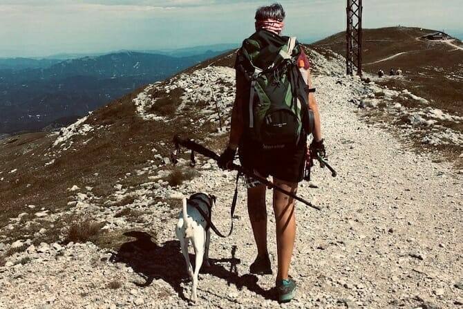 sportwissenschaften hund ausbildung mensch und hund erreichen den gipfel Sportwissenschaften Hund Ausbildung - Mensch und Hund erreichen den Gipfel