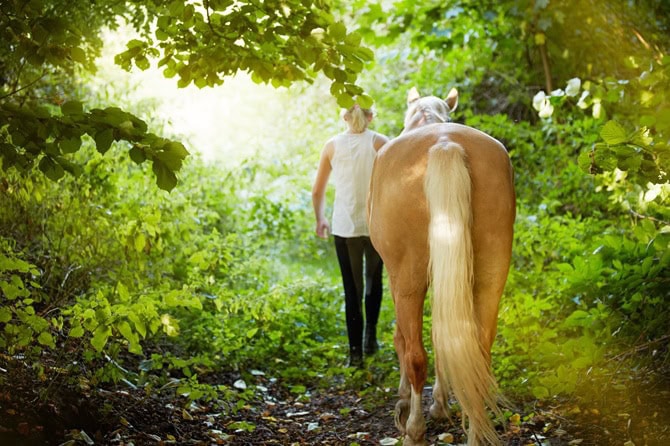 Pferdeverhaltenstrainer Ausbildung an der ATN Akademie - Frau geht mit Pferd im Wald spazieren